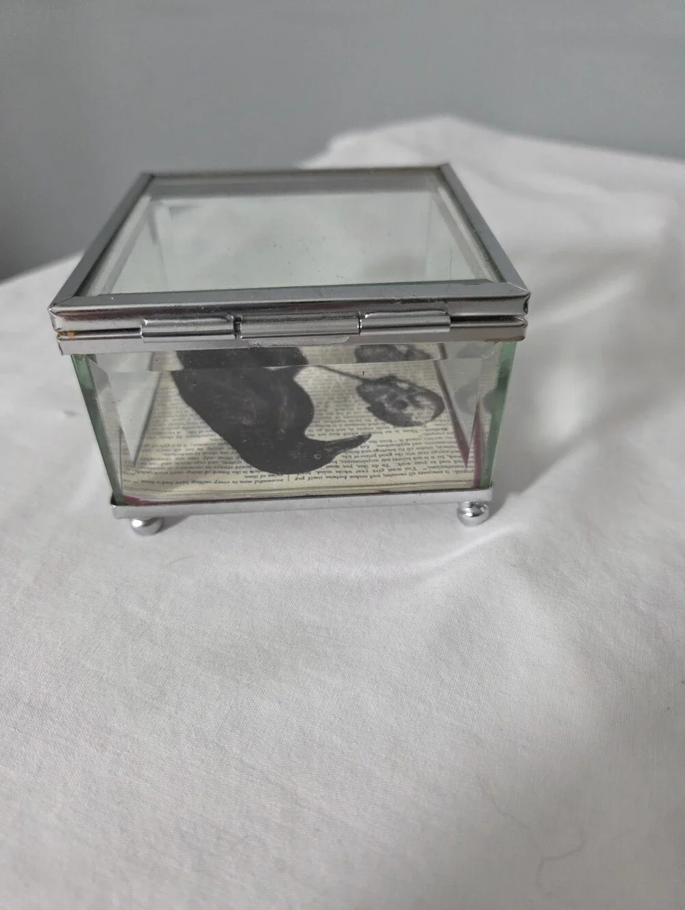 Decorative glass and metal keepsake box gothic-style a Rave and a human skull